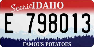 ID license plate E798013