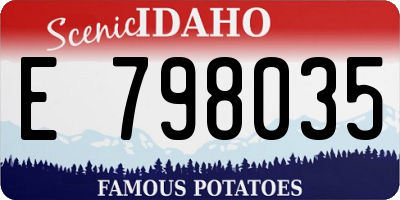 ID license plate E798035