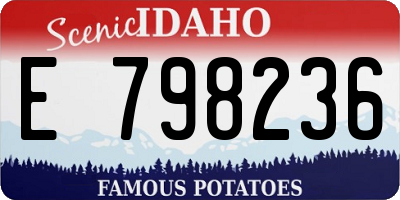 ID license plate E798236
