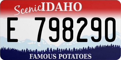 ID license plate E798290