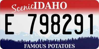 ID license plate E798291