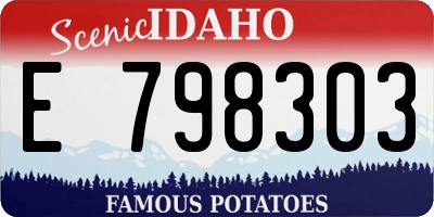 ID license plate E798303