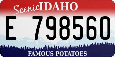 ID license plate E798560