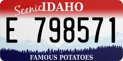 ID license plate E798571