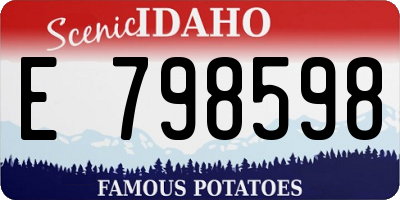 ID license plate E798598
