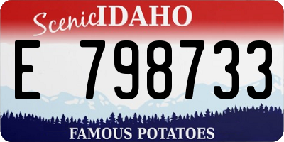 ID license plate E798733