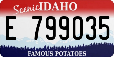 ID license plate E799035