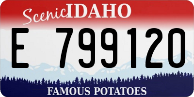 ID license plate E799120