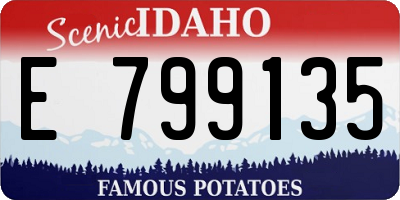 ID license plate E799135