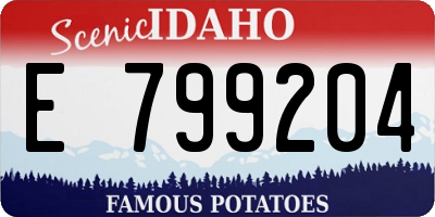 ID license plate E799204