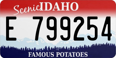 ID license plate E799254