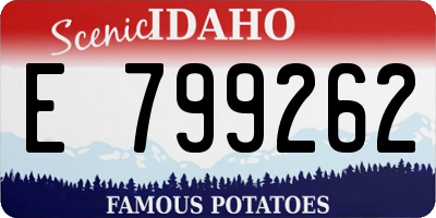ID license plate E799262