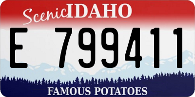 ID license plate E799411
