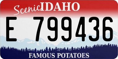 ID license plate E799436