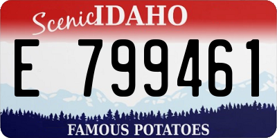 ID license plate E799461