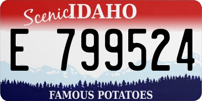ID license plate E799524