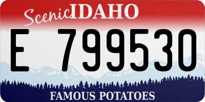 ID license plate E799530