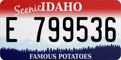 ID license plate E799536