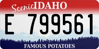 ID license plate E799561