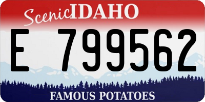 ID license plate E799562