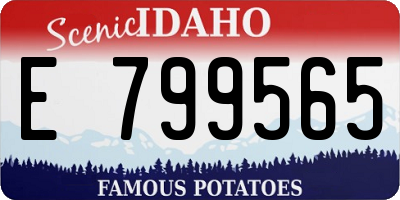 ID license plate E799565