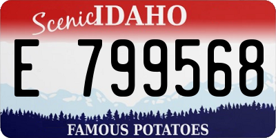 ID license plate E799568
