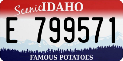 ID license plate E799571