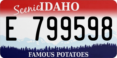 ID license plate E799598