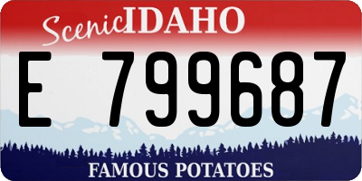 ID license plate E799687