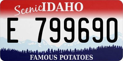 ID license plate E799690