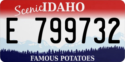 ID license plate E799732