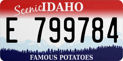 ID license plate E799784