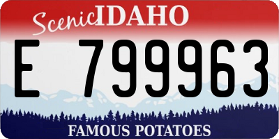 ID license plate E799963