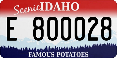 ID license plate E800028