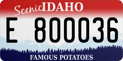 ID license plate E800036
