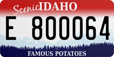 ID license plate E800064