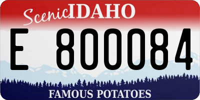 ID license plate E800084