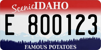 ID license plate E800123