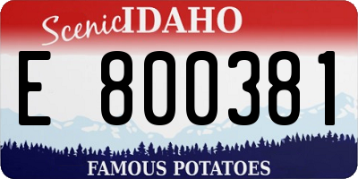 ID license plate E800381