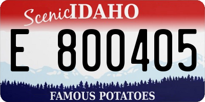 ID license plate E800405