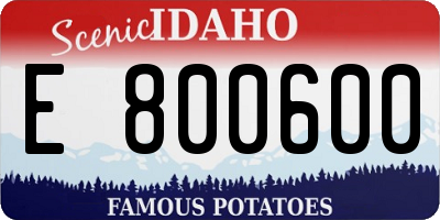 ID license plate E800600