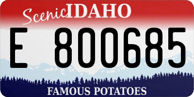 ID license plate E800685