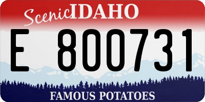 ID license plate E800731