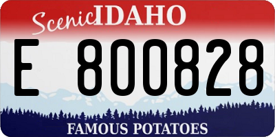 ID license plate E800828