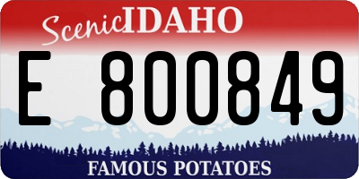 ID license plate E800849