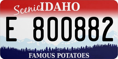 ID license plate E800882