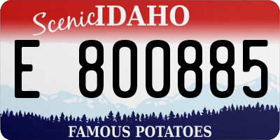 ID license plate E800885