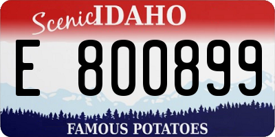 ID license plate E800899