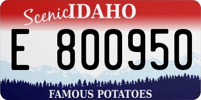 ID license plate E800950