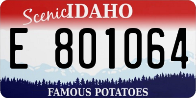 ID license plate E801064